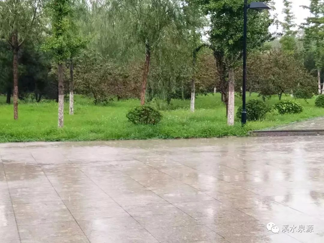 风雨中的歌唱