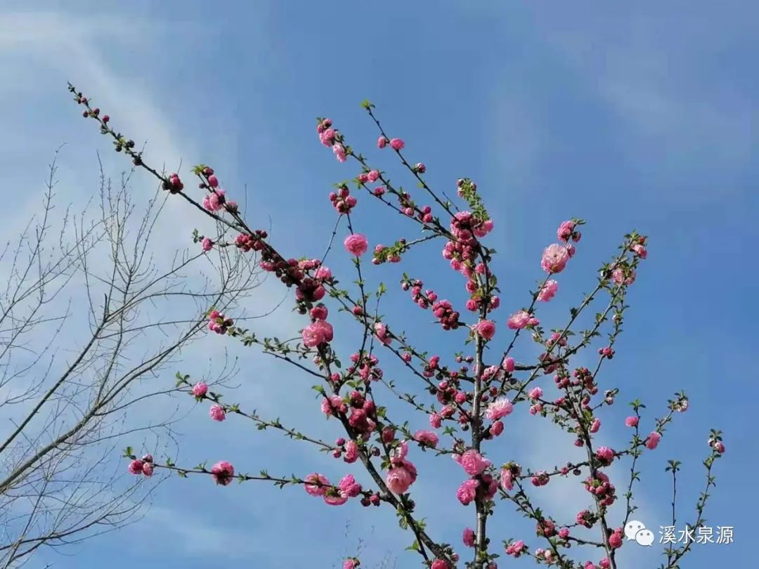 迷茫的时代，到哪里寻找生命的答案