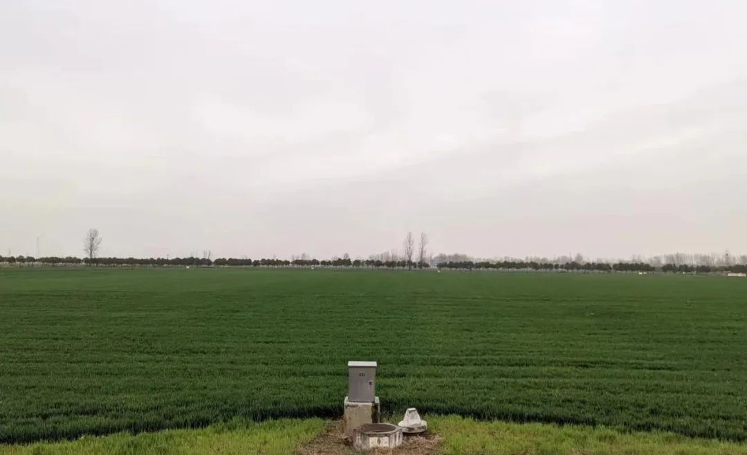 雨丝里，飞过野地，飘在城市，躺卧在内室