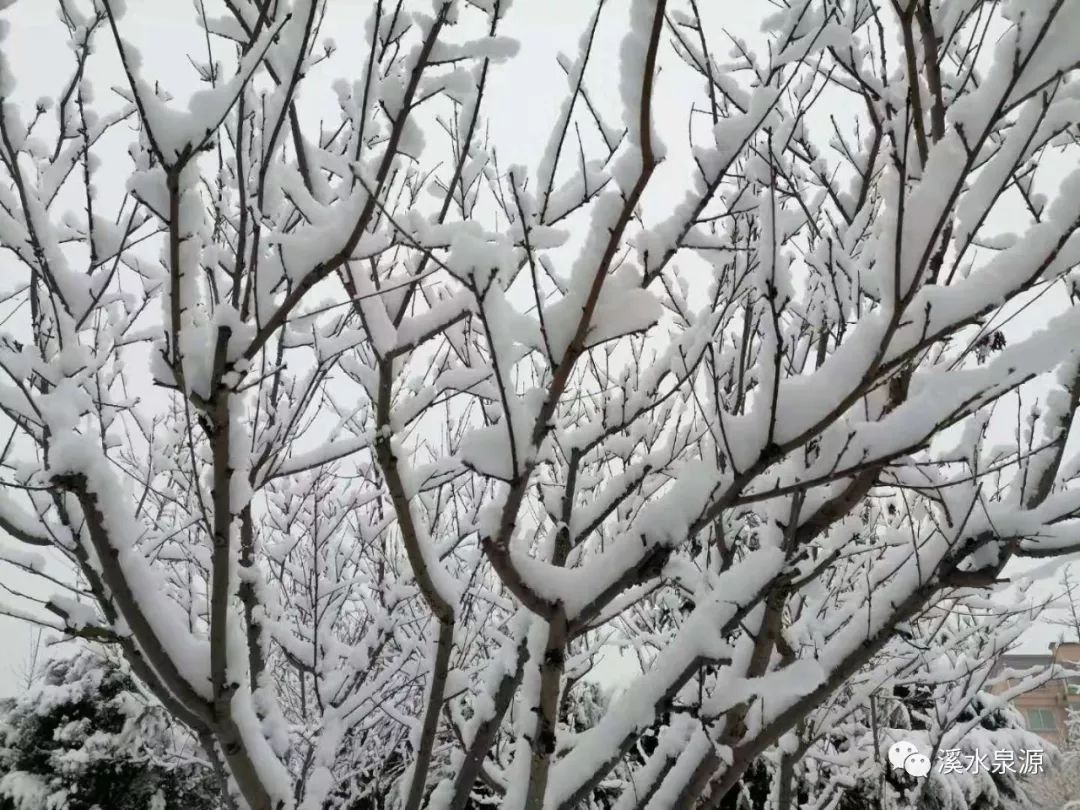 2020年北京第一场雪