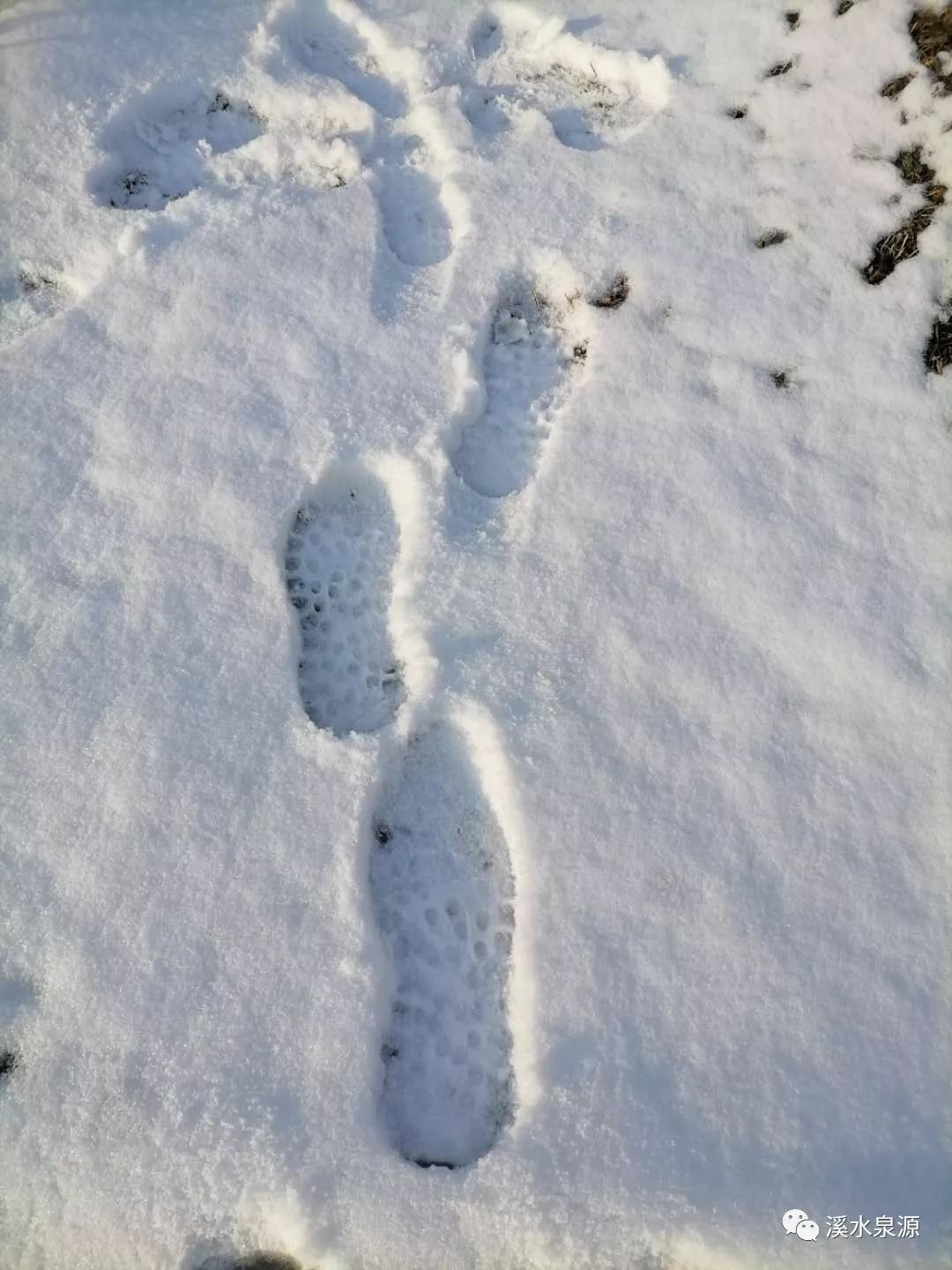 ​大雪纷飞中的情人节