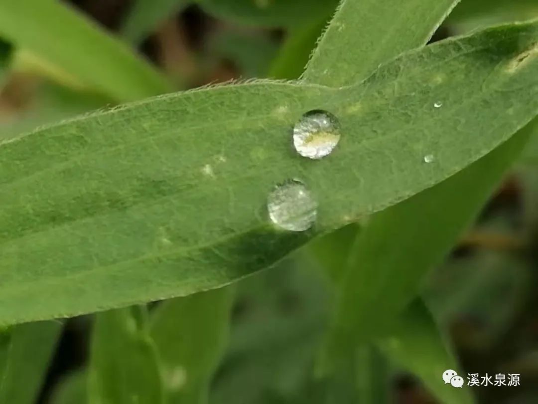 秋风细雨中爱的诉说