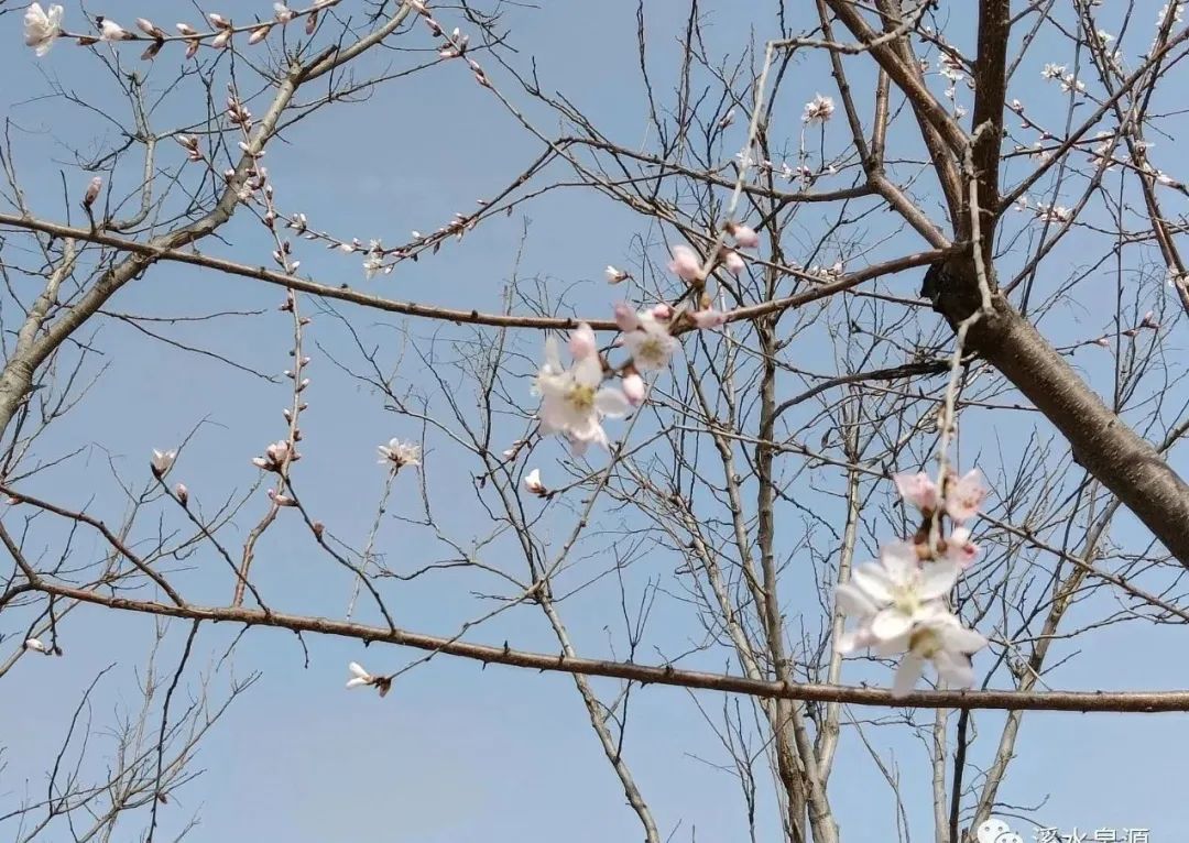 清明时节对灵魂的追问