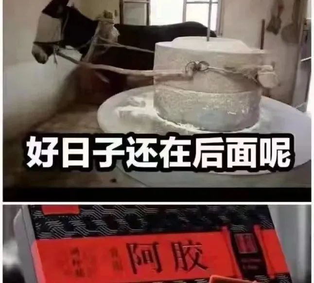 骄傲是锁链，虚荣是枷锁，世界要你戴上镣铐跳舞