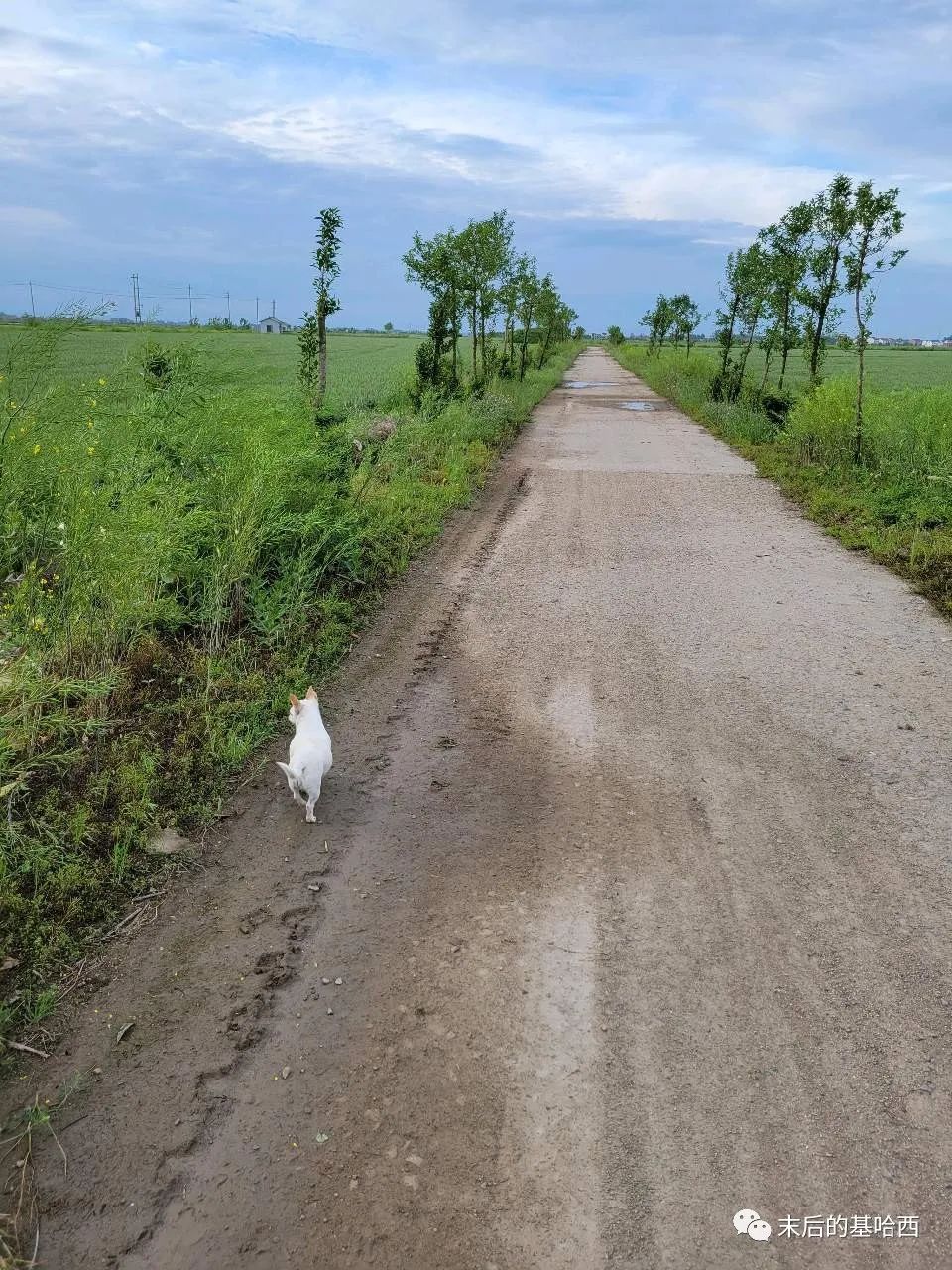 走在乡间的小路上