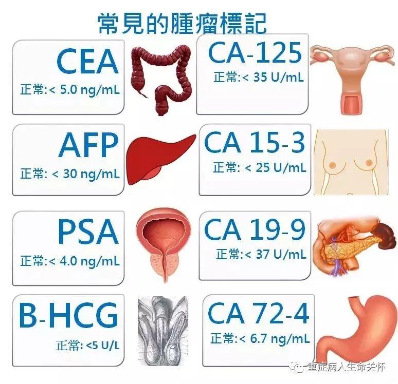 体检中为什么要查肿瘤标志物？