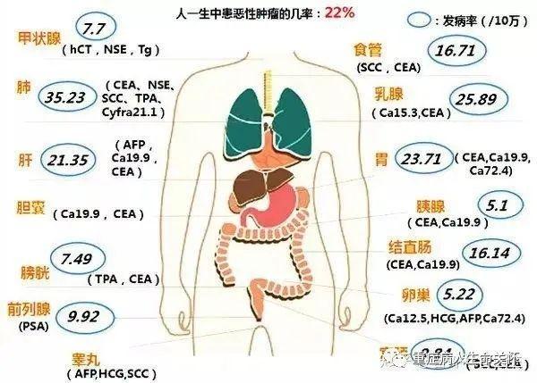 体检中为什么要查肿瘤标志物？