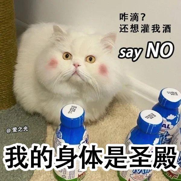 表情包 ‘ 猫猫喵