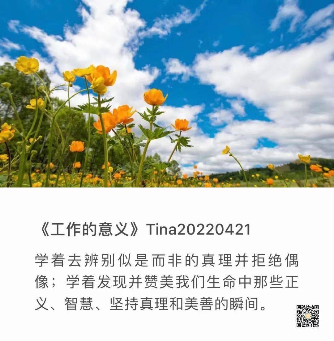 小舒 | 工作的意义是什么？