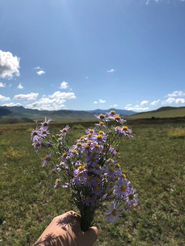 面朝耶稣，春暖花开