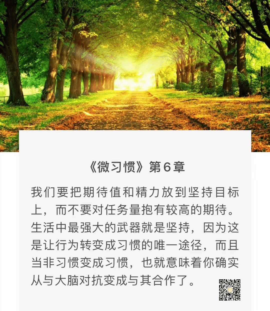 小舒 | 微习惯，大成就