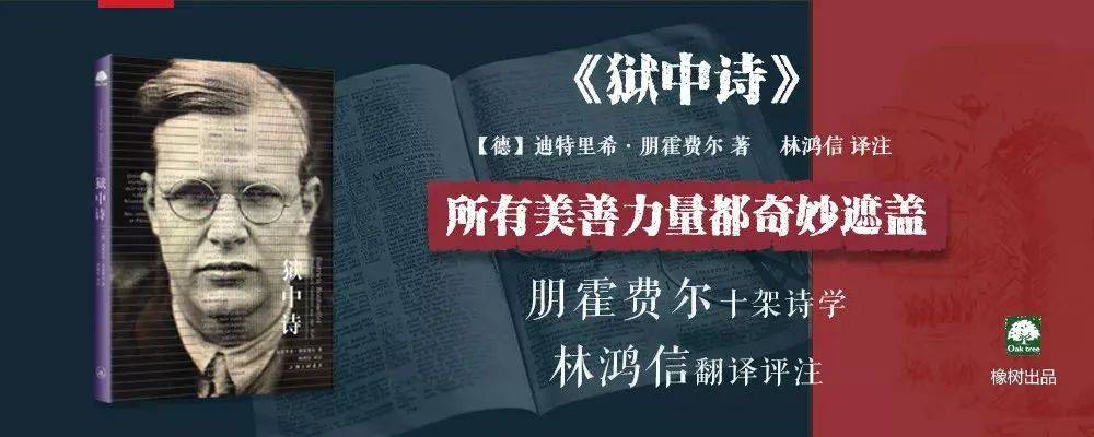 “他像一位睿智的朋友，平静、可信地向我们说话” | 橡树书屋推荐书单