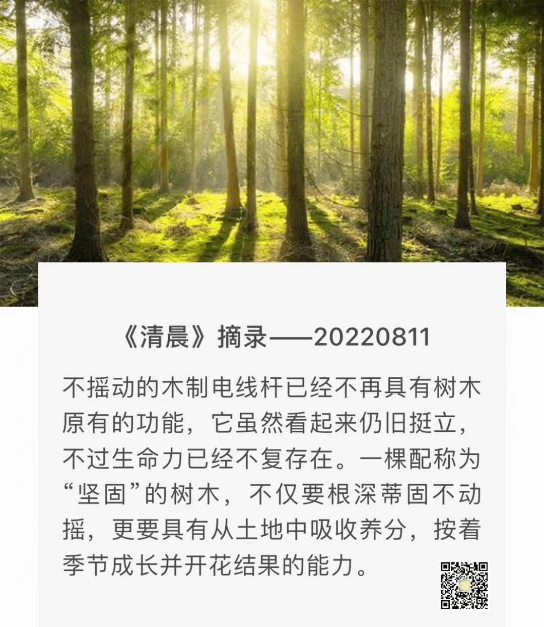 小舒 | 唤醒清晨