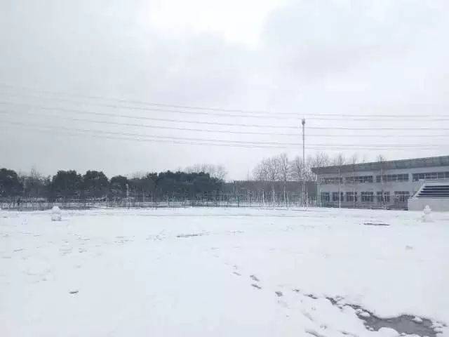 图片说「等一场雪」