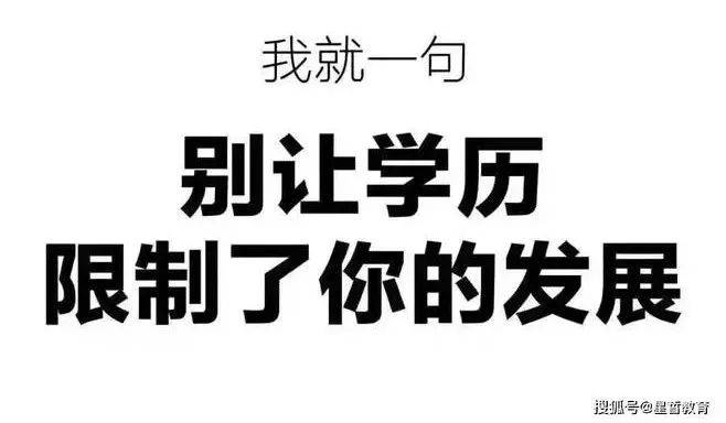 没有文凭？历史+写作，可以作为儿女的职业选项！