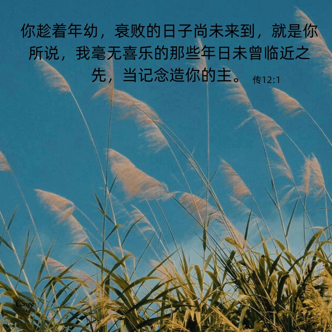 时间的果