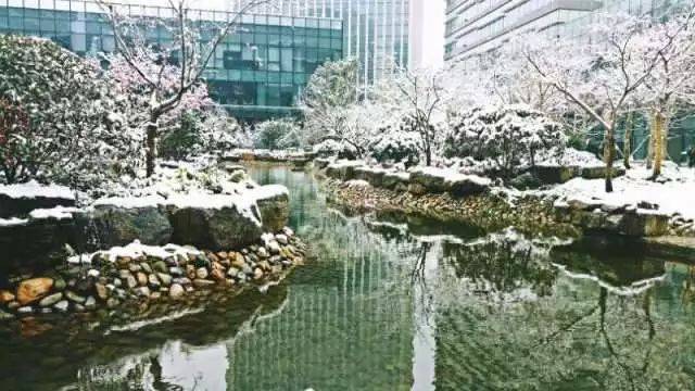 图片说「等一场雪」