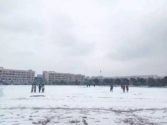 图片说「等一场雪」