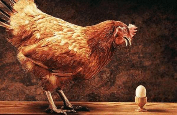 理性没法告诉我们先有鸡还是先有蛋