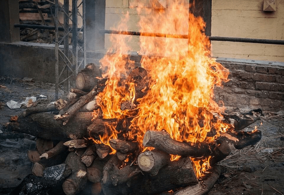 木头从烧得正旺的柴火中取了出来