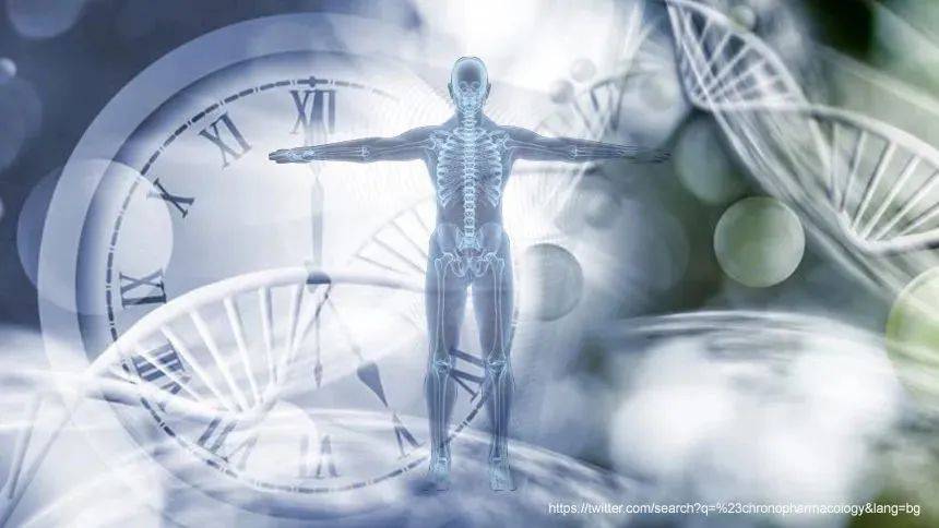 人类起源：基因学发现全人类是一家，遗传学印证方舟上的人口