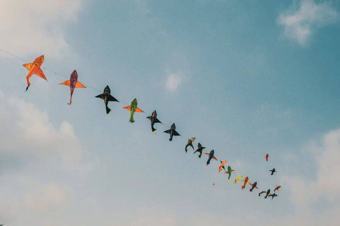 喻道童话［放风筝］：关系让生命更精彩。