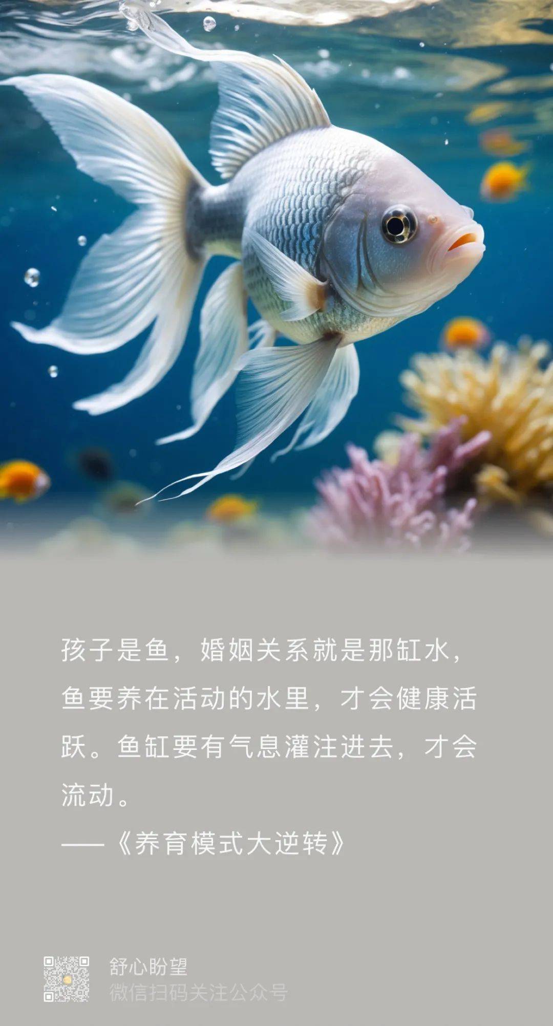 父母应聚焦的点是什么？——读书《养育模式大逆转》有感