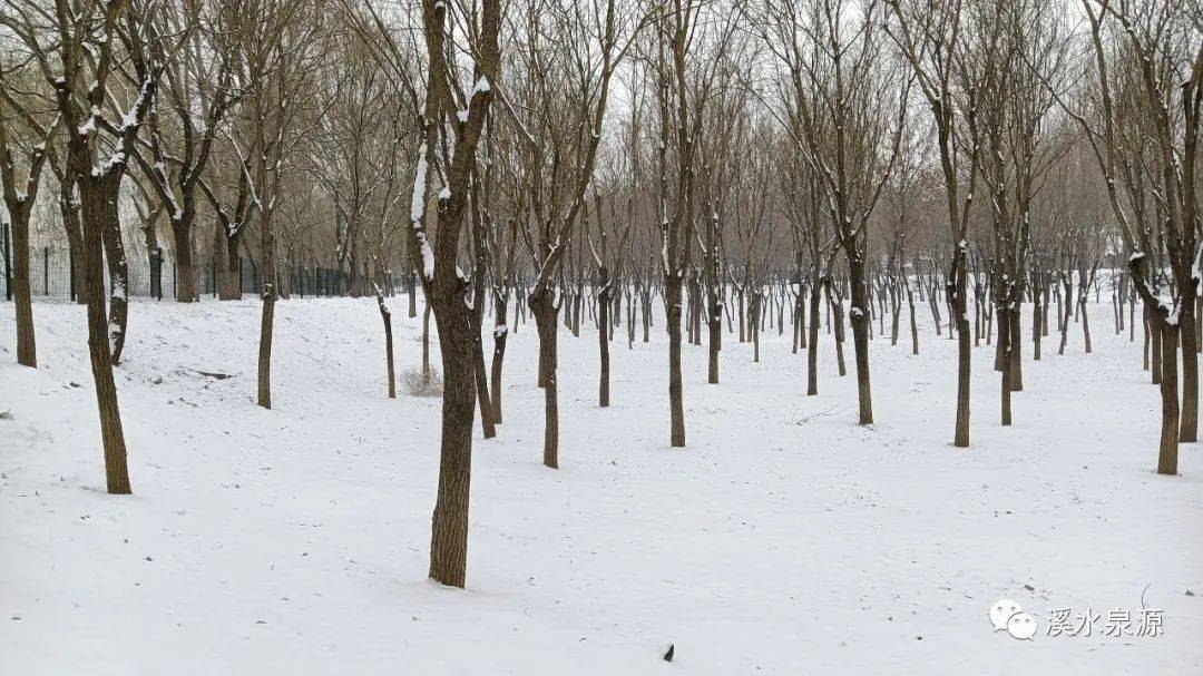 2023年冬，北京的雪又悄悄走近你