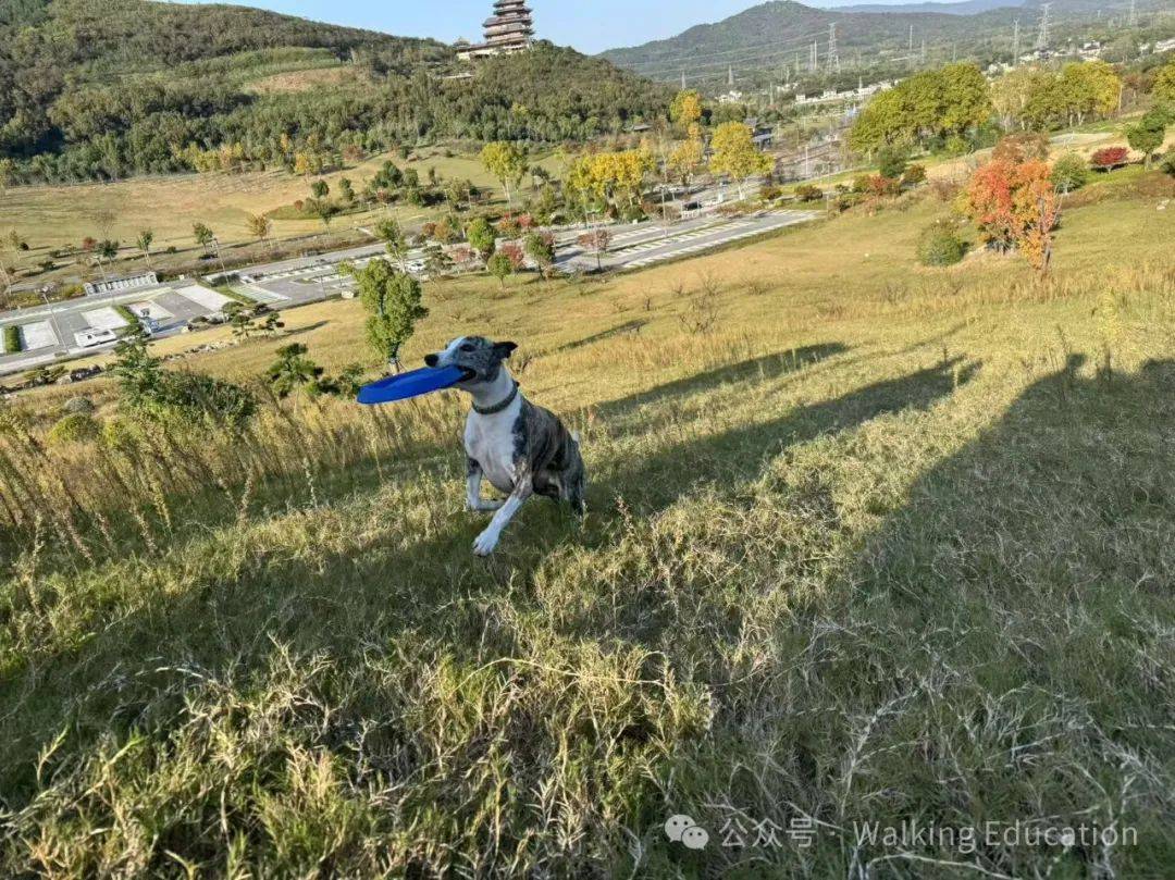 行走教育 ｜如何教学生正确思考,从而使孩子们由衷地欢庆生命、为罪哀恸，最终学会交托？