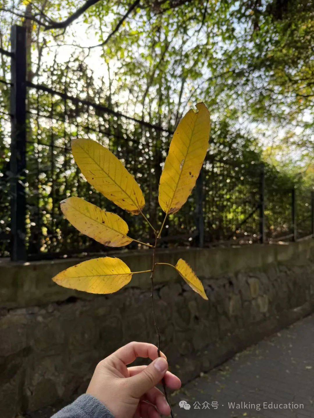 行走教育 ｜盼望的旨归：做有盼望的在家教育者系列（一）