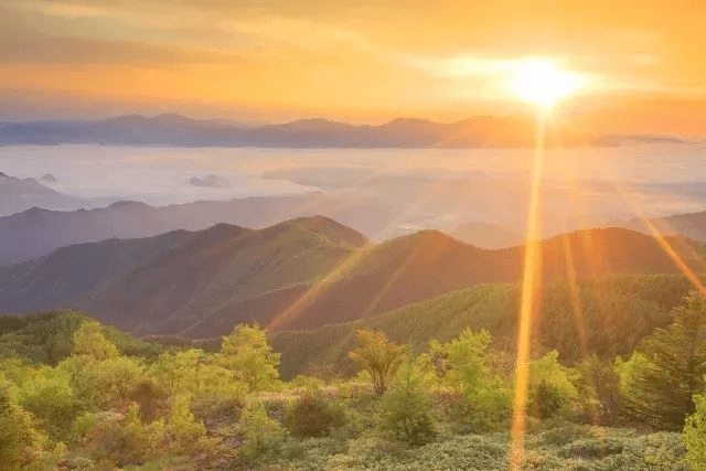 太阳和光的关系